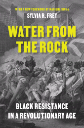 E-book, Water from the Rock : Black Resistance in a Revolutionary Age, Princeton University Press