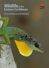 E-book, Wildlife of the Eastern Caribbean, Princeton University Press
