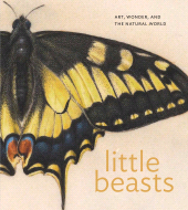 E-book, Little Beasts : Art, Wonder, and the Natural World, Princeton University Press