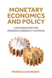 E-book, Monetary Economics and Policy : A Foundation for Modern Currency Systems, Princeton University Press