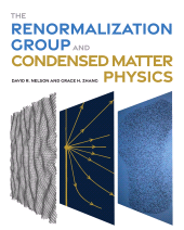 E-book, The Renormalization Group and Condensed Matter Physics, Princeton University Press