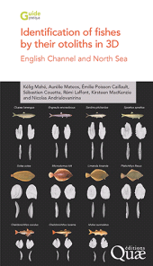 E-book, Identification of fishes by their otoliths in 3D : English Channel and North Sea, Éditions Quae