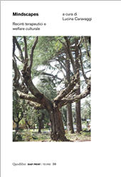 E-book, Mindscapes : recinti terapeutici e welfare culturale, Quodlibet