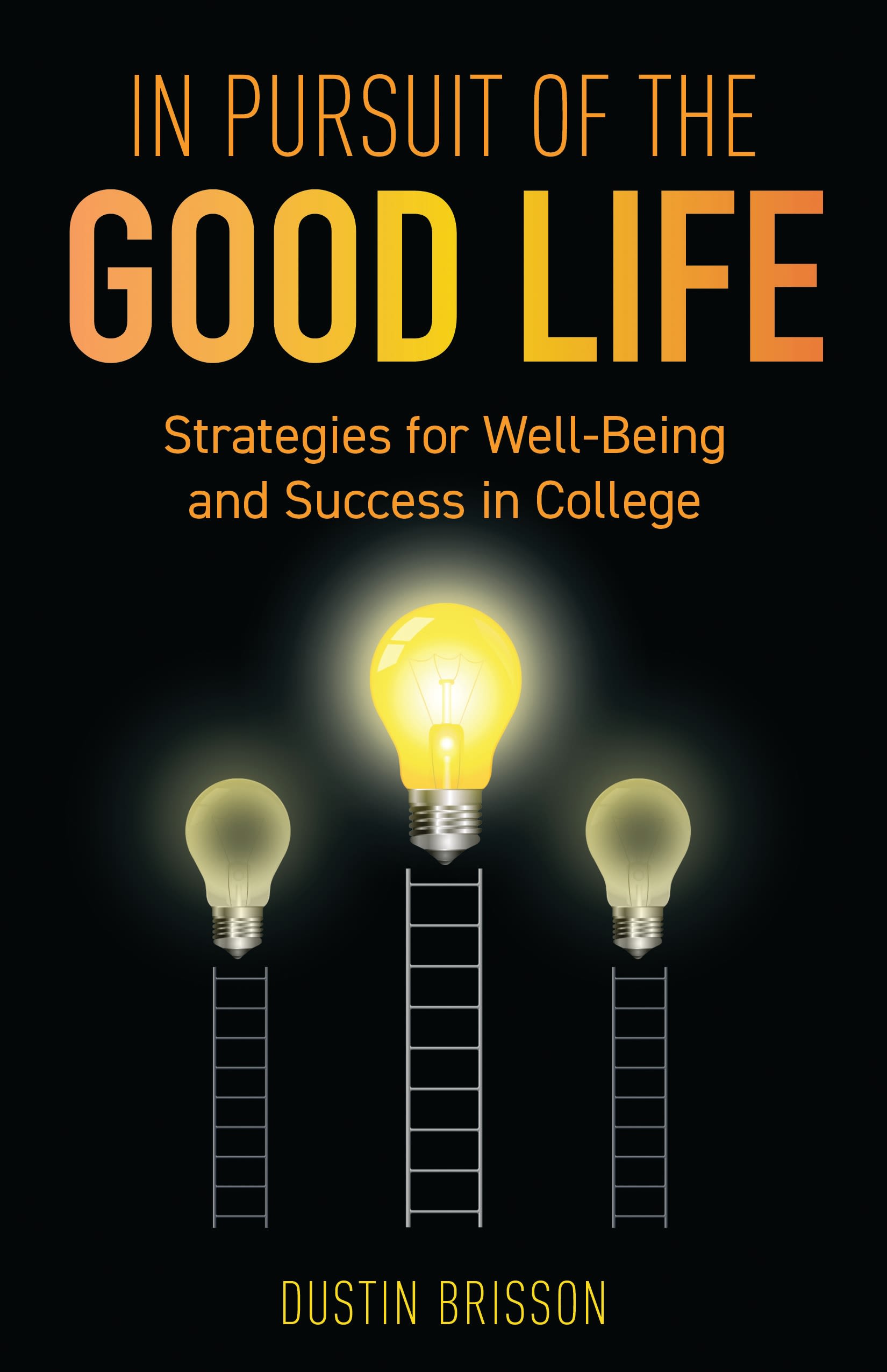 E-book, In Pursuit of the Good Life : Strategies for Well-Being and Success in College, Rowman & Littlefield