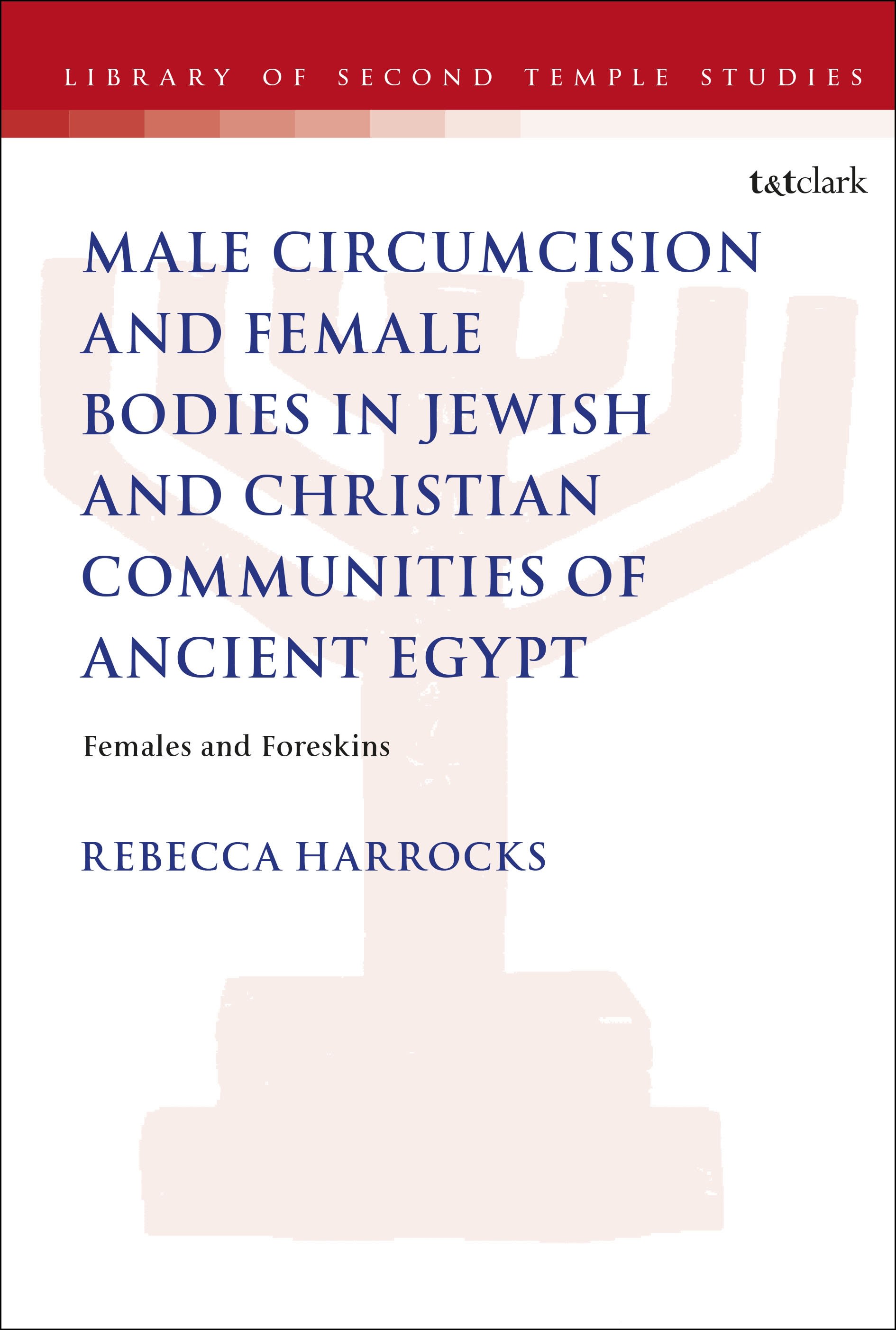 E-book, Male Circumcision and Female Bodies in Jewish and Christian Communities of Ancient Egypt : Females and Foreskins, T&T Clark