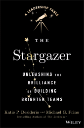 E-book, The Stargazer : Unleashing the Brilliance of Building Brighter Teams, John Wiley & Sons