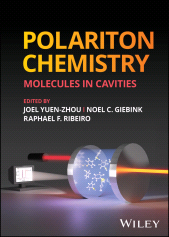 eBook, Polariton Chemistry : Molecules in Cavities, John Wiley & Sons