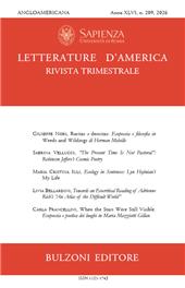 Fascicolo, Letterature d'America : rivista trimestrale : XLVI, 209, 2026, Bulzoni