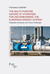 eBook, The Multi-Purpose Nature of Hydrogen for Decarbonising the European Energy System : integrated Scenarios and Future Challenges, Firenze University Press