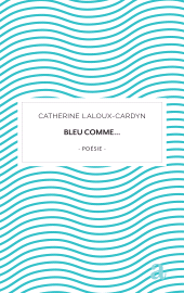 E-book, Bleu comme..., Académia-EME éditions