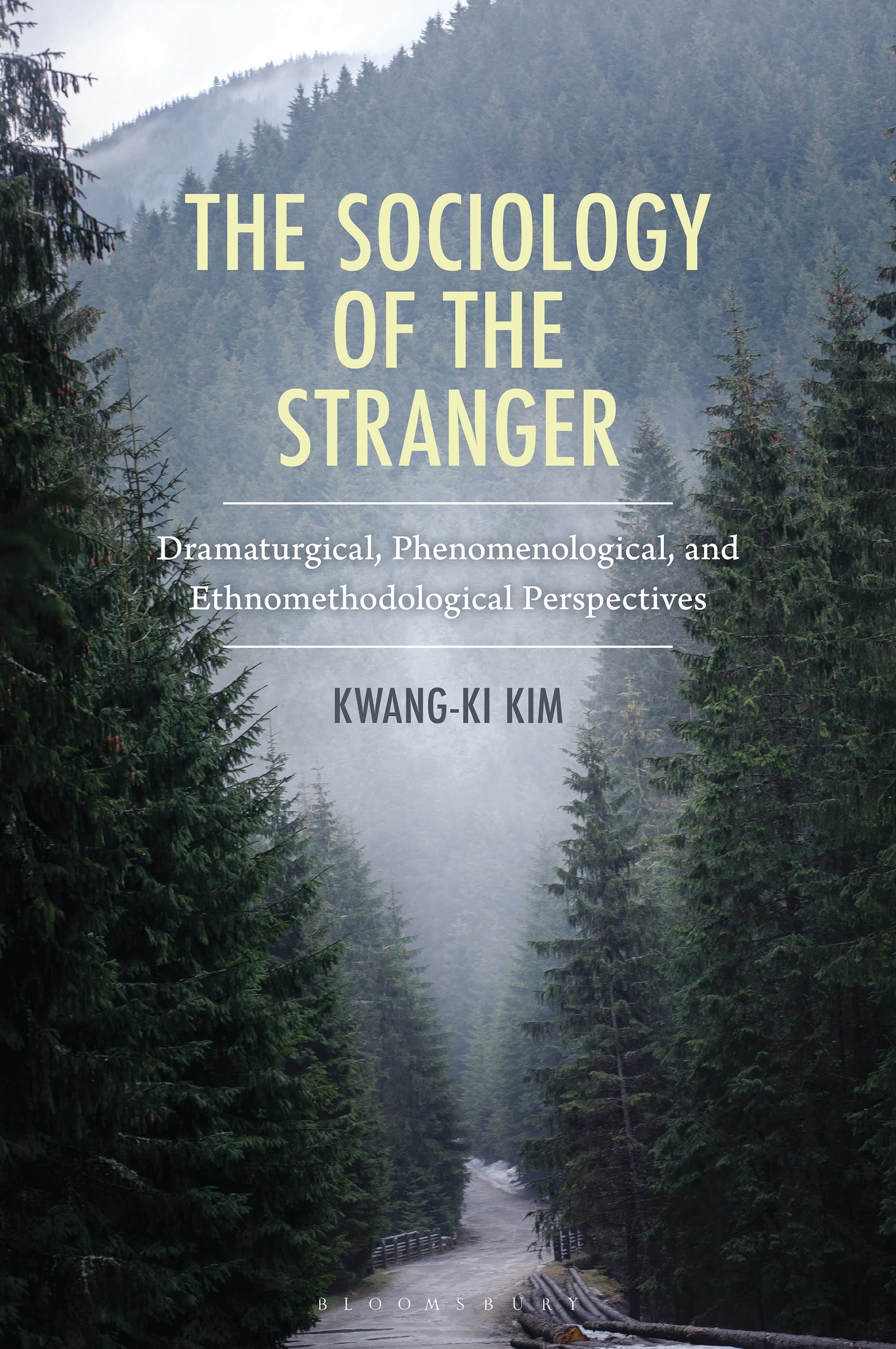 E-book, The Sociology of the Stranger : Dramaturgical, Phenomenological, and Ethnomethodological Perspectives, Bloomsbury Academic