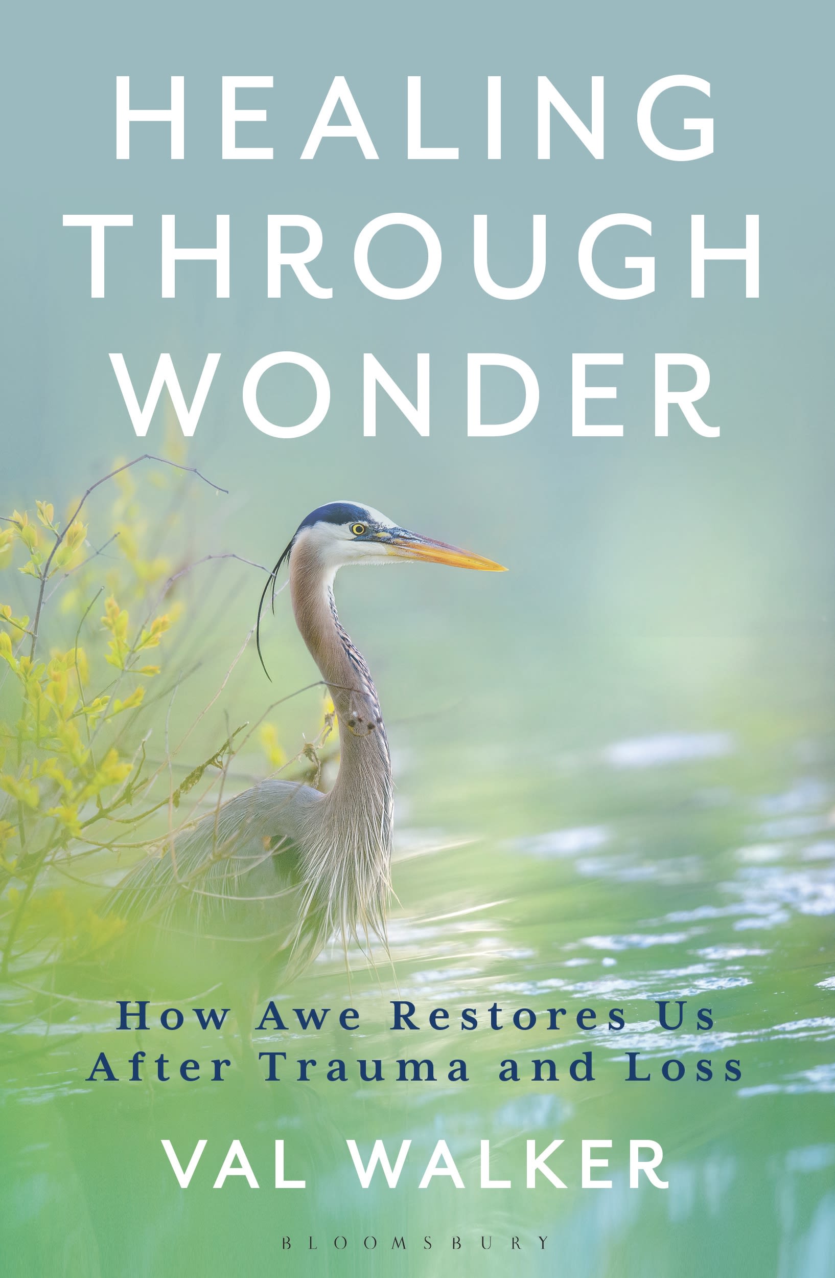 eBook, Healing Through Wonder : How Awe Restores Us After Trauma and Loss, Bloomsbury Academic