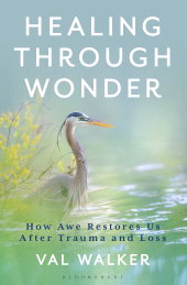 E-book, Healing Through Wonder : How Awe Restores Us After Trauma and Loss, Bloomsbury Academic