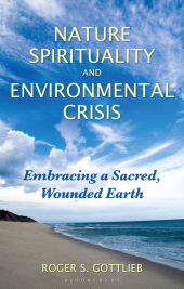 E-book, Nature Spirituality and Environmental Crisis : Embracing a Sacred, Wounded Earth, Bloomsbury Publishing