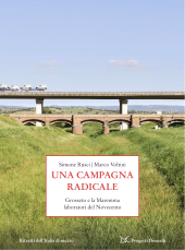 E-book, Una campagna radicale, Donzelli Editore