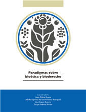 E-book, Paradigmas sobre bioética y bioderecho, Dykinson