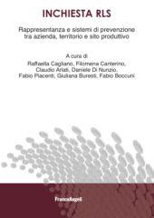 E-book, Inchiesta RLS : rappresentanza e sistemi di prevenzione tra azienda, territorio e sito produttivo, Franco Angeli