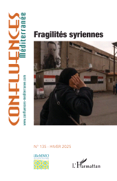 E-book, Fragilités syriennes, L'Harmattan