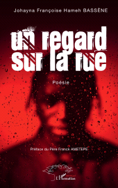 E-book, Un regard sur la rue, L'Harmattan