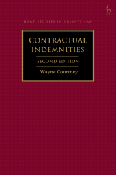 E-book, Contractual Indemnities, Hart Publishing