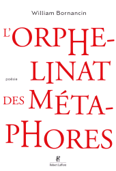 E-book, L'orphelinat des métaphores, Éditions Robert Laffont