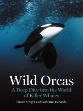 E-book, Wild Orcas : A Deep Dive into the World of Killer Whales, Princeton University Press
