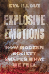 E-book, Explosive Emotions : How Modern Society Shapes What We Feel, Princeton University Press