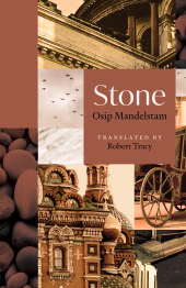 E-book, Stone, Princeton University Press