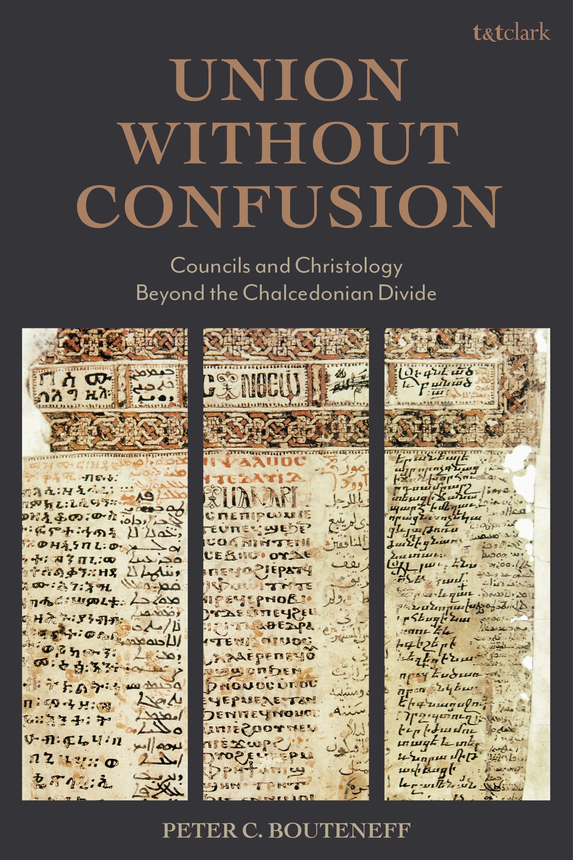 E-book, Union Without Confusion : Councils and Christology Beyond the Chalcedonian Divide, T&T Clark