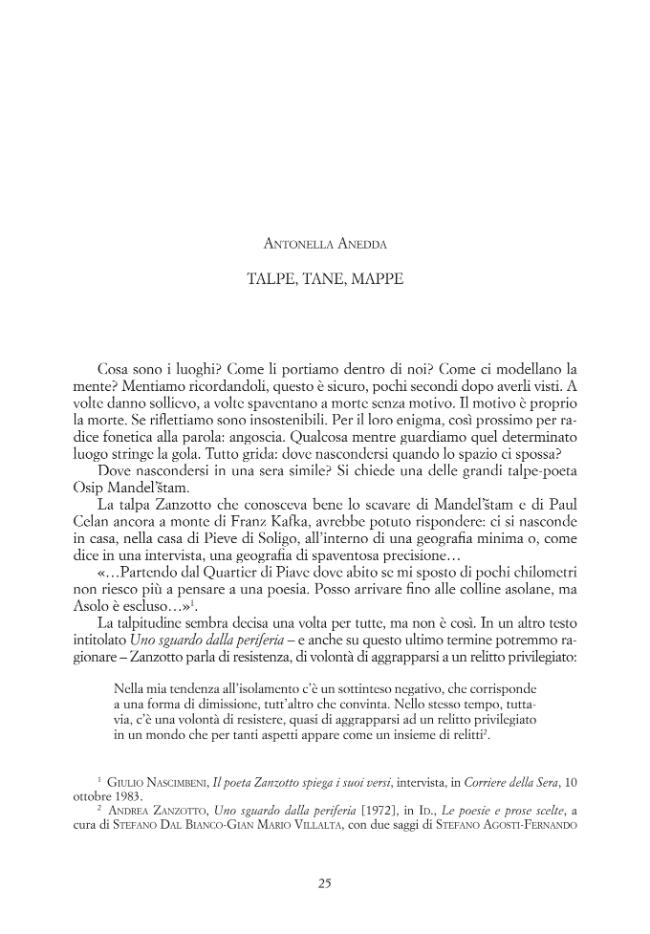 Pagina campione