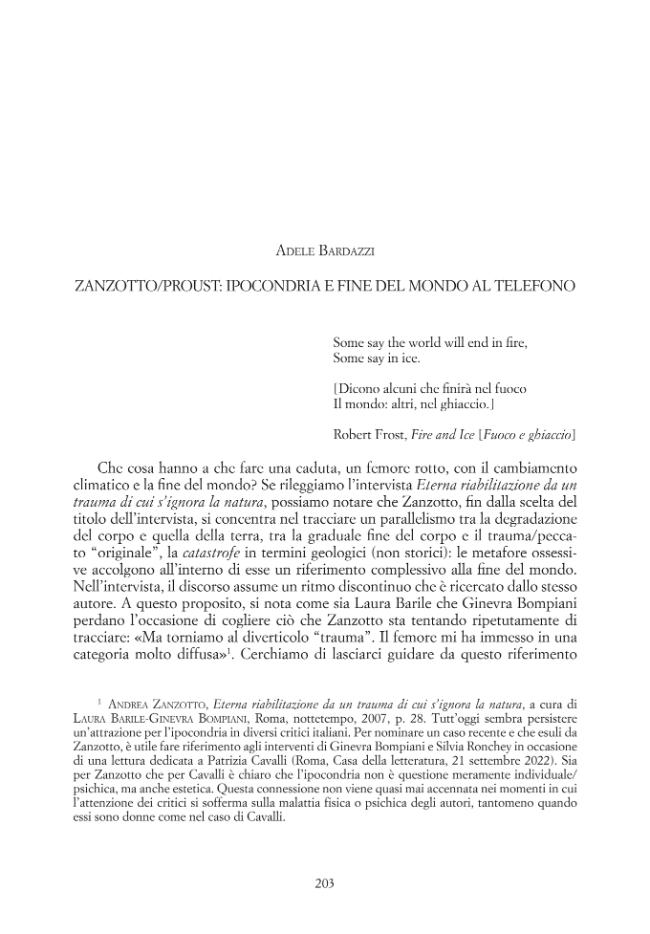Pagina campione
