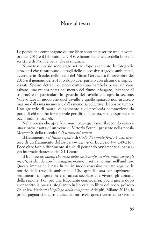 Pagina campione