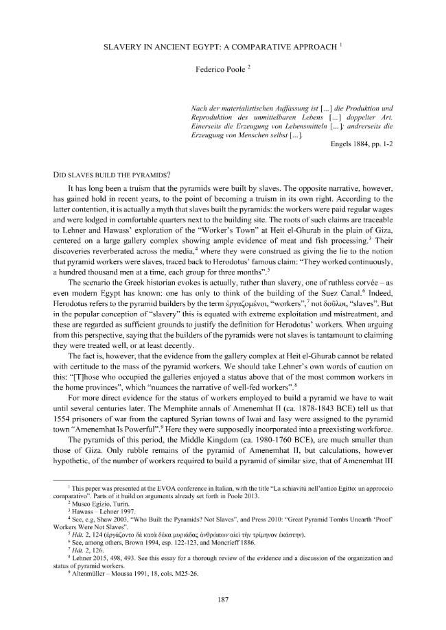 Pagina campione