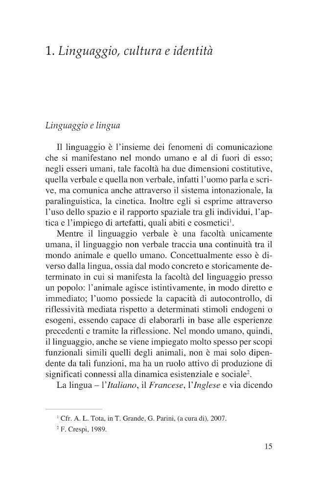 Pagina campione