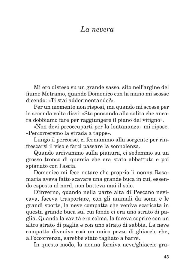 Pagina campione