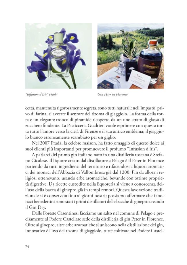 Probeseite