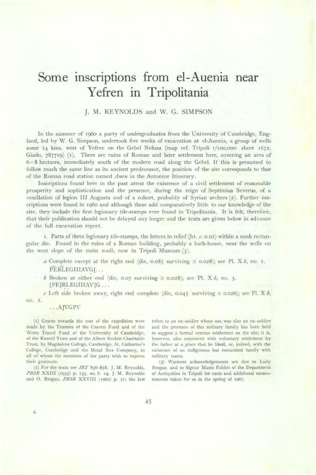 Pagina campione