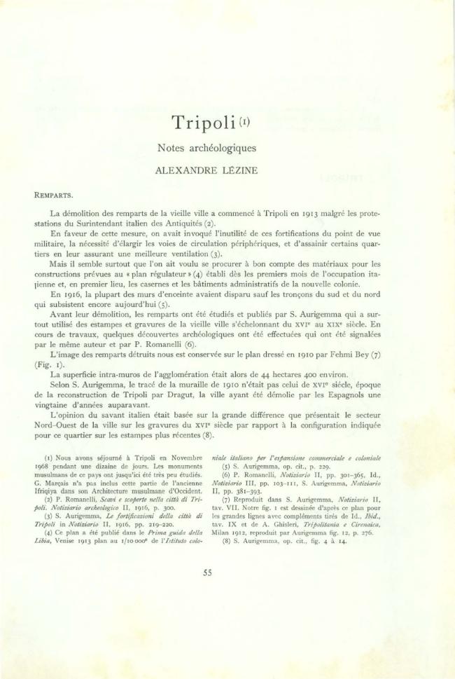 Pagina campione