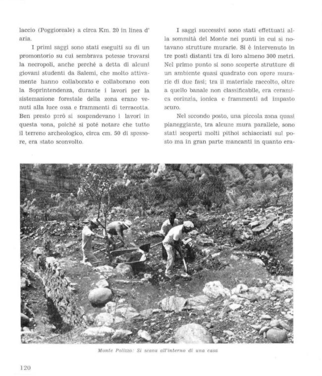 Página de muestra