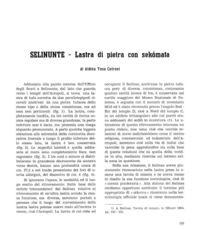Pagina campione