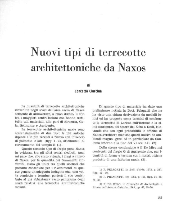Pagina campione