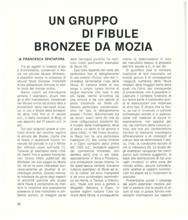 Pagina campione