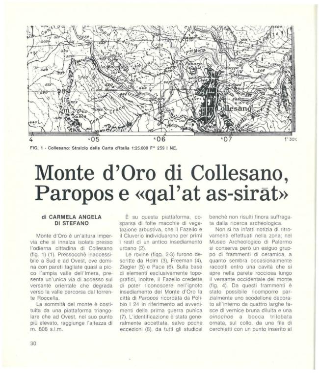 Pagina campione