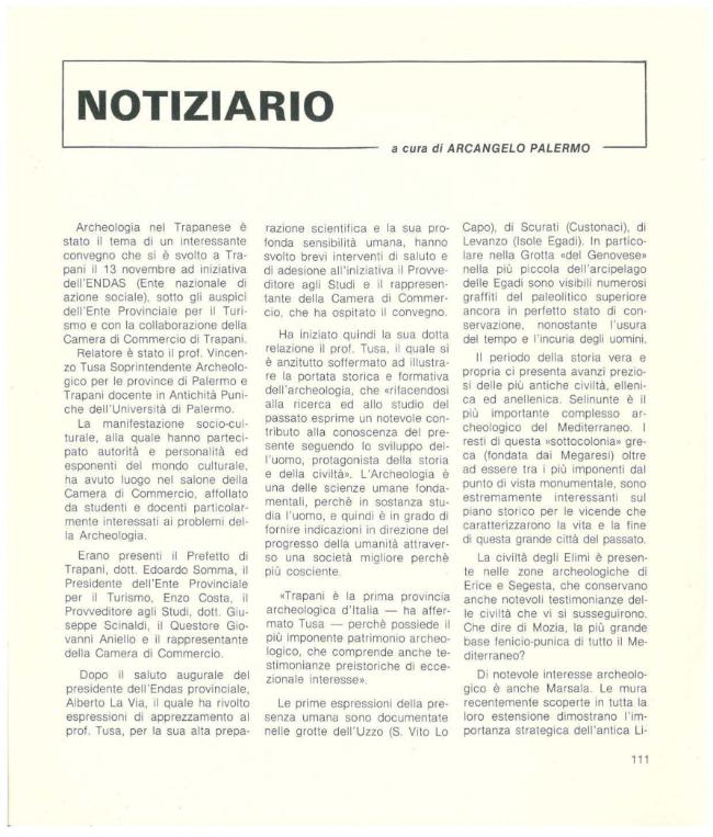 Pagina campione
