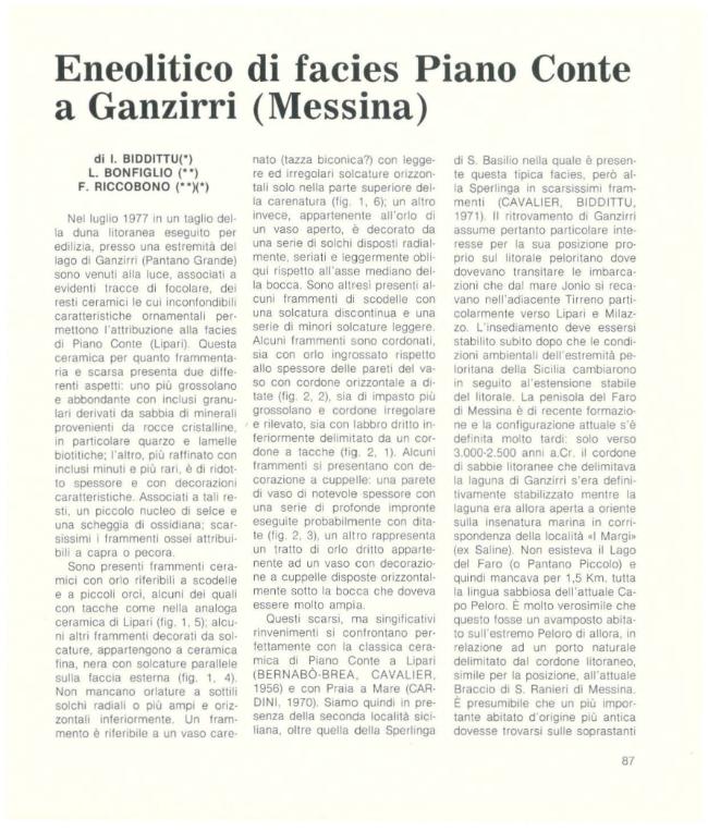 Pagina campione