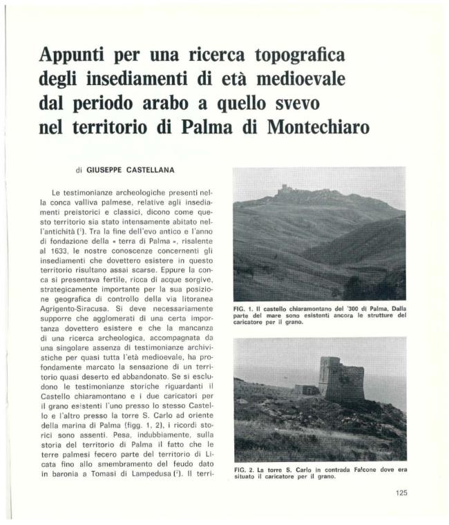 Pagina campione