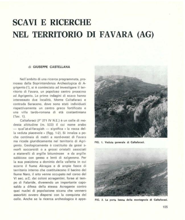 Pagina campione