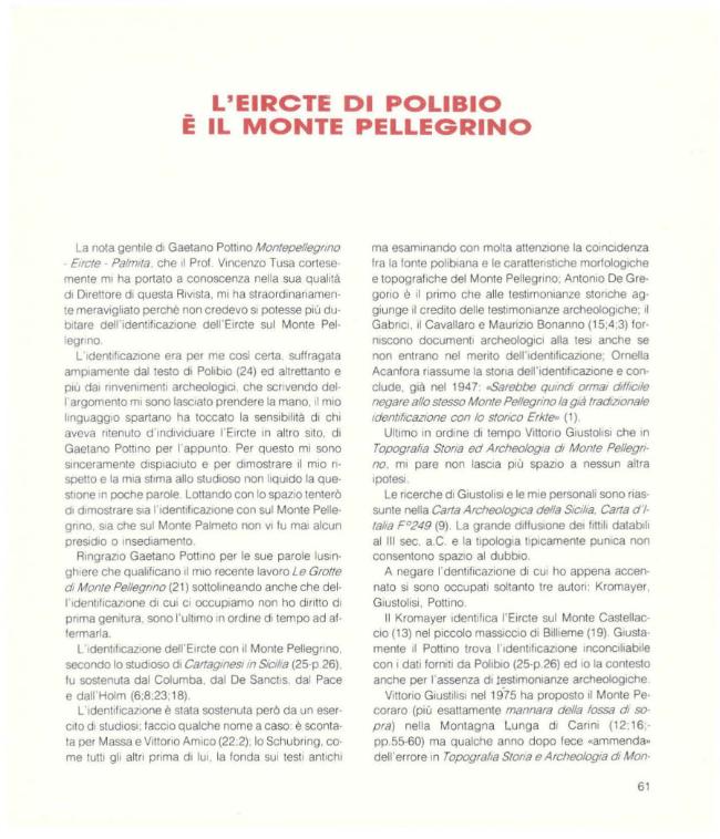 Pagina campione