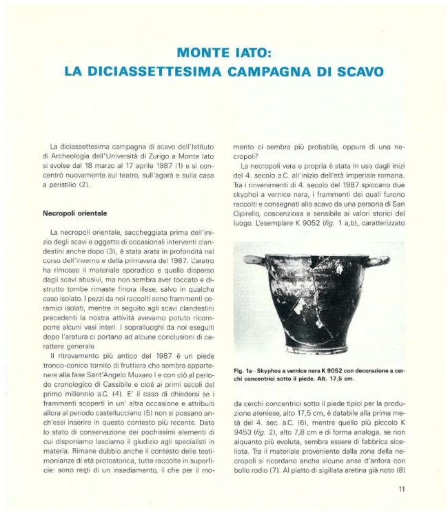 Pagina campione