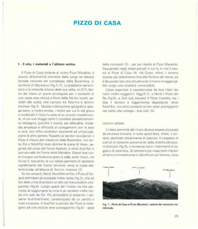 Pagina campione